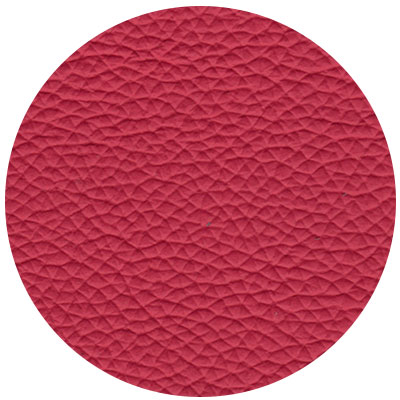 02_Fuschia.jpg