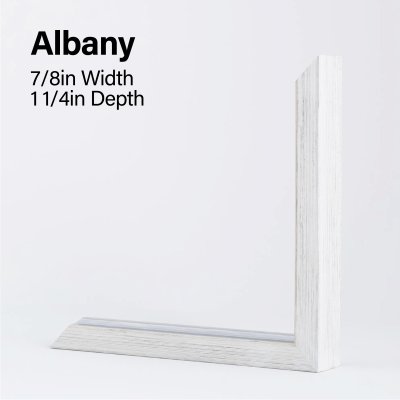 Albany.jpg