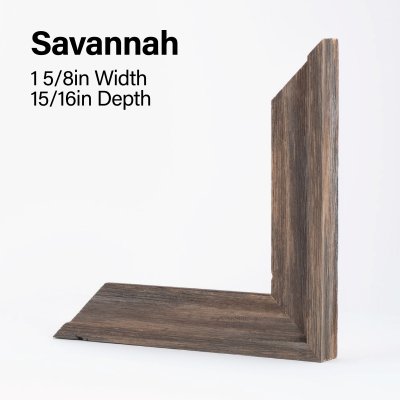 Savannah.jpg