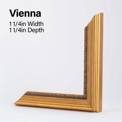 Vienna.jpg